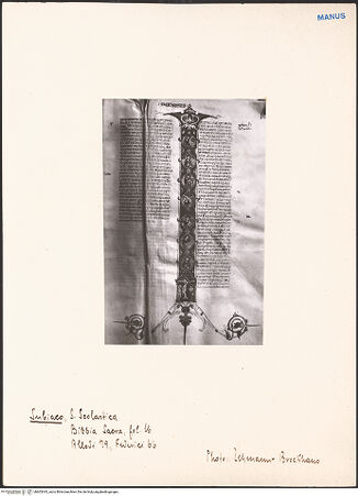 Vorderseite von bh603343_recto