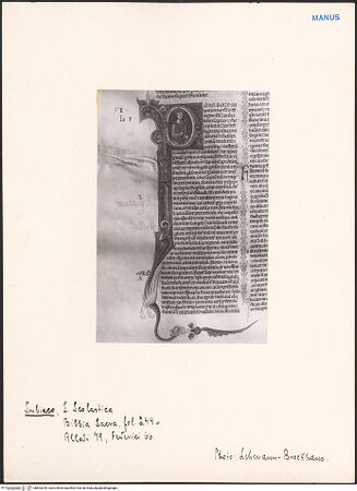 Vorderseite von bh603344_recto