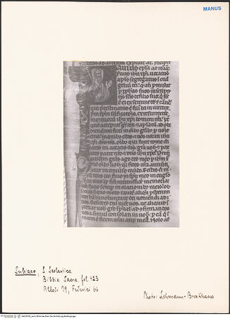 Vorderseite von bh603345_recto