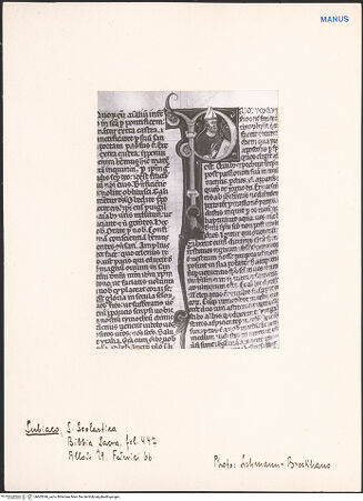 Vorderseite von bh603346_recto