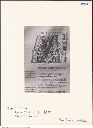 Vorderseite von bh603361_recto