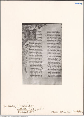 Vorderseite von bh603370_recto