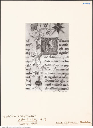 Vorderseite von bh603371_recto