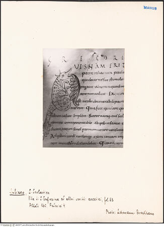 Vorderseite von bh603377_recto