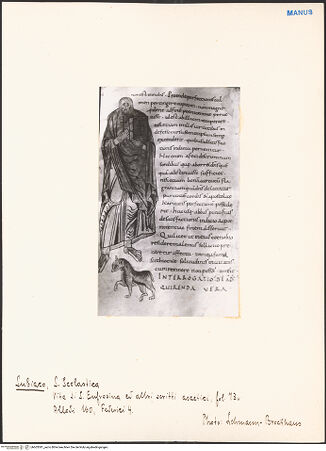 Vorderseite von bh603381_recto