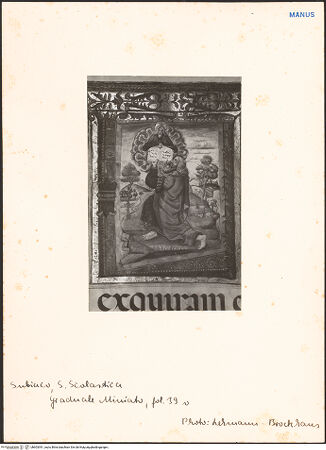 Vorderseite von bh603391_recto