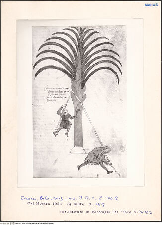 Vorderseite von bh603401_recto