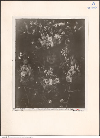 Vorderseite von bh603661_recto