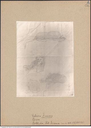 Vorderseite von bh603732_recto