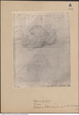 Vorderseite von bh603733_recto