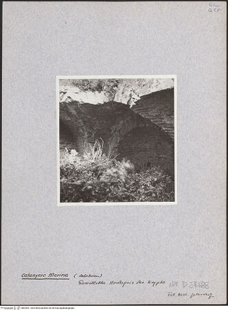 Vorderseite von bh603991_recto