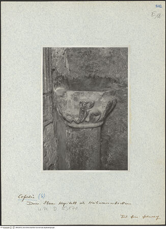 Vorderseite von Bibliotheca Hertziana [https://www.deutsche-digitale-bibliothek.de/content/lizenzen/rv-fz/] Wiederverwendetes Kapitell als Weihwasserbecken - Gesamtansicht, bh603992_recto. Foto.