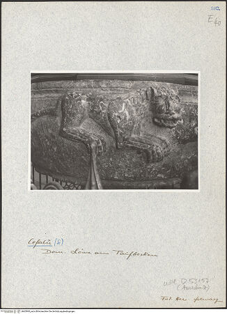 Vorderseite von Bibliotheca Hertziana [https://www.deutsche-digitale-bibliothek.de/content/lizenzen/rv-fz/] Taufbrunnen - Ausschnitt, Löwe, bh603993_recto. Foto: Schwarz, Heinrich Mathias.