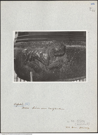 Vorderseite von Bibliotheca Hertziana [https://www.deutsche-digitale-bibliothek.de/content/lizenzen/rv-fz/] Taufbrunnen - Ausschnitt, Löwe, bh603994_recto. Foto: Schwarz, Heinrich Mathias.