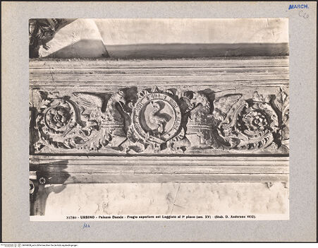 Vorderseite von Alinari [https://www.deutsche-digitale-bibliothek.de/content/lizenzen/rv-ez/] Fries der Loggia - Detail, bh604068_recto. Foto.