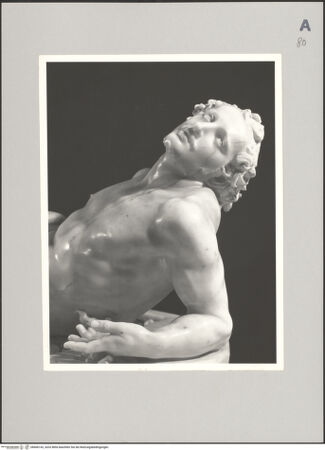 Vorderseite von ICCD [https://www.deutsche-digitale-bibliothek.de/content/lizenzen/rv-ez/] Das Martyrium des heiligen Laurentius - Detail: Oberkörper, bh606142_recto. Foto.