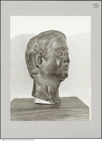 Vorderseite von Soprintendenza per i B.A.A.A. e S. - Arezzo [https://www.deutsche-digitale-bibliothek.de/content/lizenzen/rv-ez/] Männlicher Kopf - Ansicht von links, bh606466_recto. Foto.