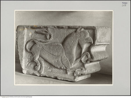 Vorderseite von Soprintendenza ai Monumenti e Gallerie - Arezzo [https://www.deutsche-digitale-bibliothek.de/content/lizenzen/rv-ez/] Greif - , bh606468_recto. Foto.