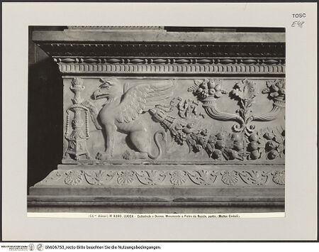 Vorderseite von Alinari [https://www.deutsche-digitale-bibliothek.de/content/lizenzen/rv-ez/] Grabmal des Pietro da NocetoFries - Detail: Linker Abschnitt des Frieses, bh606753_recto. Foto.