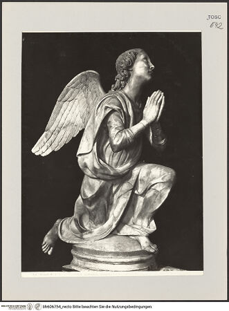 Vorderseite von Alinari [https://www.deutsche-digitale-bibliothek.de/content/lizenzen/rv-ez/] Anbetender Engel - Ansicht von links, bh606754_recto. Foto.