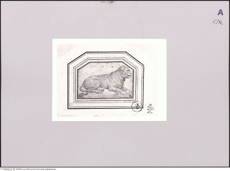 Vorderseite von Sotheby's [https://www.deutsche-digitale-bibliothek.de/content/lizenzen/rv-ez/] Studie eines Löwen - , bh606977_recto. Foto.