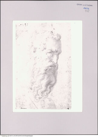 Vorderseite von Sotheby's [https://www.deutsche-digitale-bibliothek.de/content/lizenzen/rv-ez/] Kopf eines bärtigen Mannes - , bh607017_recto. Foto.