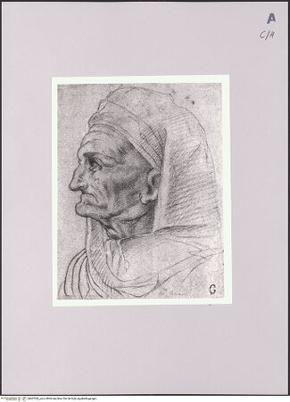 Vorderseite von Sotheby's [https://www.deutsche-digitale-bibliothek.de/content/lizenzen/rv-ez/] Kopf in Profilansicht - , bh607026_recto. Foto.