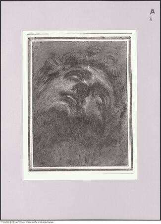 Vorderseite von Sotheby's [https://www.deutsche-digitale-bibliothek.de/content/lizenzen/rv-ez/] Kopf des Giuliano II. de' Medici - , bh607035_recto. Foto.