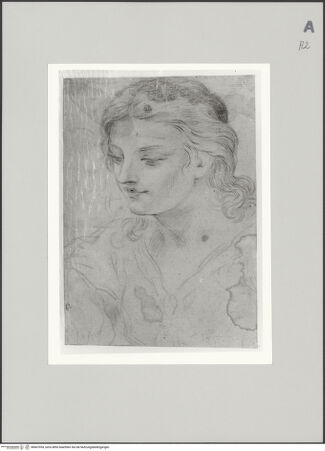 Vorderseite von Sotheby's [https://www.deutsche-digitale-bibliothek.de/content/lizenzen/rv-ez/] Kopf einer jungen Frau - , bh607054_recto. Foto.