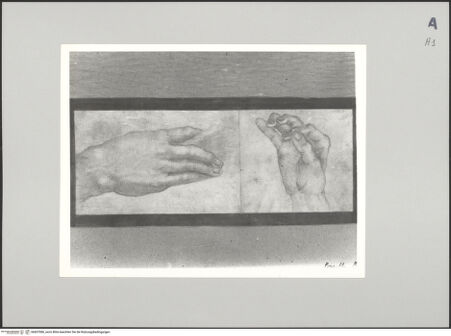 Vorderseite von Sotheby's [https://www.deutsche-digitale-bibliothek.de/content/lizenzen/rv-ez/] Handstudien - , bh607080_recto. Foto.