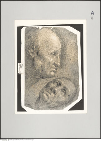 Vorderseite von Sotheby's [https://www.deutsche-digitale-bibliothek.de/content/lizenzen/rv-ez/] Studie eines kahlen Greisenkopfes im Profil und frontal aus leichter Untersicht - , bh607149_recto. Foto.