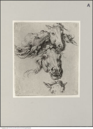 Vorderseite von Staatliche Museen zu Berlin - Preußischer Kulturbesitz [https://www.deutsche-digitale-bibliothek.de/content/lizenzen/rv-ez/] Studie mit vier Pferdeköpfen - Gesamtansicht, bh607254_recto. Foto: Steinkopf, Walter.