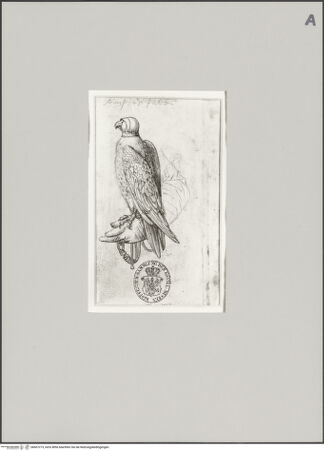 Vorderseite von Staatliche Museen zu Berlin - Preußischer Kulturbesitz [https://www.deutsche-digitale-bibliothek.de/content/lizenzen/rv-ez/] Unvollständiges SkizzenbuchKarl V. als Knabe (Herzog Karl von Burgund)Die Hand mit dem Falken - Gesamtansicht, bh607273_recto. Foto: Steinkopf, Walter.