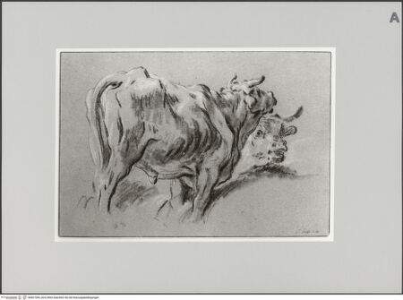 Vorderseite von Staatliche Museen zu Berlin - Preußischer Kulturbesitz [https://www.deutsche-digitale-bibliothek.de/content/lizenzen/rv-ez/] Zwei Kühe nach rechts - Gesamtansicht, bh607284_recto. Foto: Steinkopf, Walter.