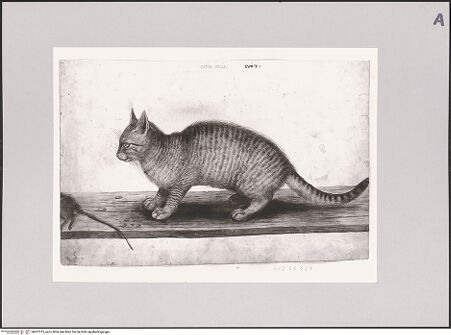 Vorderseite von Staatliche Museen zu Berlin - Preußischer Kulturbesitz [https://www.deutsche-digitale-bibliothek.de/content/lizenzen/rv-ez/] Hauskatze mit erbeuteter Maus - Gesamtansicht, bh607315_recto. Foto: Steinkopf, Walter.
