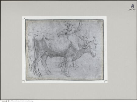 Vorderseite von Staatliche Museen zu Berlin - Preußischer Kulturbesitz [https://www.deutsche-digitale-bibliothek.de/content/lizenzen/rv-ez/] Bauer mit zwei Ochsen - Gesamtansicht, bh607326_recto. Foto: Steinkopf, Walter.