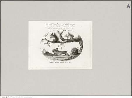 Vorderseite von Staatliche Museen zu Berlin - Preußischer Kulturbesitz [https://www.deutsche-digitale-bibliothek.de/content/lizenzen/rv-ez/] Eichhörnchen und Hasen, Blatt LIIII - Gesamtansicht, bh607340_recto. Foto: Steinkopf, Walter.