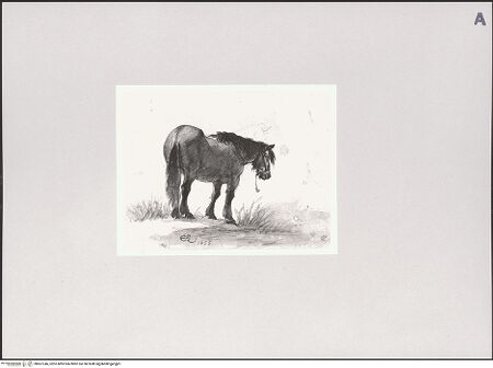 Vorderseite von Staatliche Museen zu Berlin - Preußischer Kulturbesitz [https://www.deutsche-digitale-bibliothek.de/content/lizenzen/rv-ez/] Pferd auf Anhöhe, von hinten betrachtet - Gesamtansicht, bh607346_recto. Foto: Steinkopf, Walter.