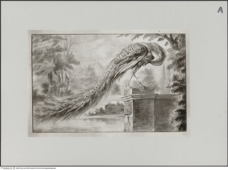 Vorderseite von Staatliche Museen zu Berlin - Preußischer Kulturbesitz [https://www.deutsche-digitale-bibliothek.de/content/lizenzen/rv-ez/] Pfau, auf einem Pfeiler stehend - Gesamtansicht, bh607364_recto. Foto: Steinkopf, Walter.