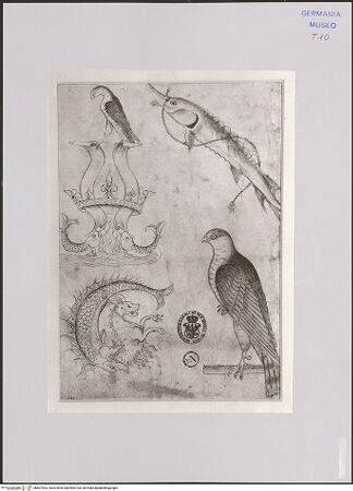 Vorderseite von Staatliche Museen zu Berlin - Preußischer Kulturbesitz [https://www.deutsche-digitale-bibliothek.de/content/lizenzen/rv-ez/] Emblematische Tiere: Greifvögel, Fische und ein chinesisches Fabelwesen (Khilin) - Gesamtansicht, bh607393_recto. Foto: Steinkopf, Walter.