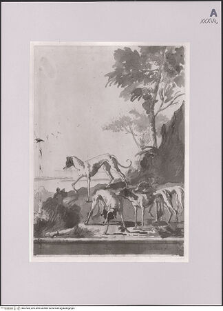 Vorderseite von Staatliche Museen zu Berlin - Preußischer Kulturbesitz [https://www.deutsche-digitale-bibliothek.de/content/lizenzen/rv-ez/] Windhunde auf einer Anhöhe - Gesamtansicht, bh607400_recto. Foto.