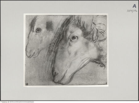 Vorderseite von Staatliche Museen zu Berlin - Preußischer Kulturbesitz [https://www.deutsche-digitale-bibliothek.de/content/lizenzen/rv-ez/] Studie zum Widder für den "Tempelgang Mariens" (Rom, Chiesa Nuova) - Gesamtansicht, bh607405_recto. Foto: Steinkopf, Walter.