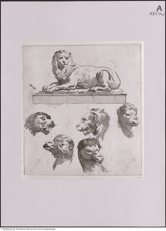 Vorderseite von Staatliche Museen zu Berlin - Preußischer Kulturbesitz [https://www.deutsche-digitale-bibliothek.de/content/lizenzen/rv-ez/] Löwe auf einem Steinsockel sowie Studien von Panther-, Löwen- und Kamelköpfen - Gesamtansicht, bh607406_recto. Foto.