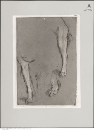 Vorderseite von Staatliche Museen zu Berlin - Preußischer Kulturbesitz [https://www.deutsche-digitale-bibliothek.de/content/lizenzen/rv-ez/] Studie zu den Beinen des Hundes für die "Einsetzung der Eucharistie" (Rom, Santa Maria sopra Minerva) - Gesamtansicht, bh607413_recto. Foto: Steinkopf, Walter.