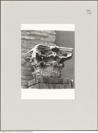 Vorderseite von Museo Lapidario del Duomo, Modena [https://www.deutsche-digitale-bibliothek.de/content/lizenzen/rv-ez/] Kapitell - , bh607427_recto. Foto.