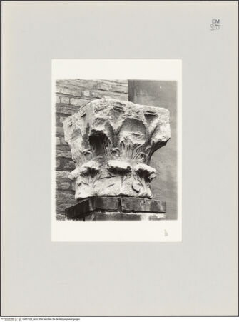 Vorderseite von Museo Lapidario del Duomo, Modena [https://www.deutsche-digitale-bibliothek.de/content/lizenzen/rv-ez/] Kapitell - , bh607428_recto. Foto.