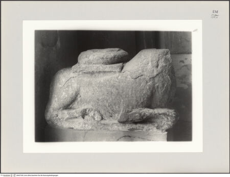 Vorderseite von Sopr BAS Modena [https://www.deutsche-digitale-bibliothek.de/content/lizenzen/rv-ez/] Löwenbasis - , bh607430_recto. Foto.