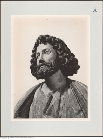 Vorderseite von Museo Civico di Torino [https://www.deutsche-digitale-bibliothek.de/content/lizenzen/rv-ez/] Heiliger Bartholomäus - Detail: Kopf, bh607448_recto. Foto.