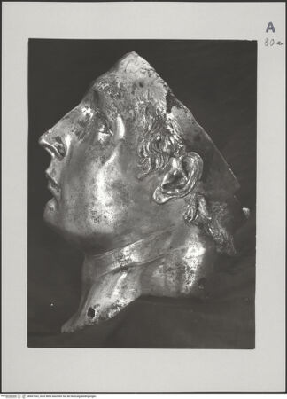 Vorderseite von Sopr BAS Fi [https://www.deutsche-digitale-bibliothek.de/content/lizenzen/rv-ez/] Der heilige Ludwig von Toulouse - Detail: Kopf im Profil von rechts,  in Restaurierungswerkstatt, bh607665_recto. Foto.