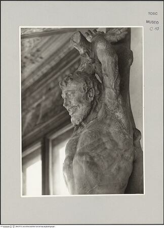 Vorderseite von Bazzechi [https://www.deutsche-digitale-bibliothek.de/content/lizenzen/rv-ez/] Marsyas - Detail: Kopf und Oberkörper von rechts, bh607673_recto. Foto.